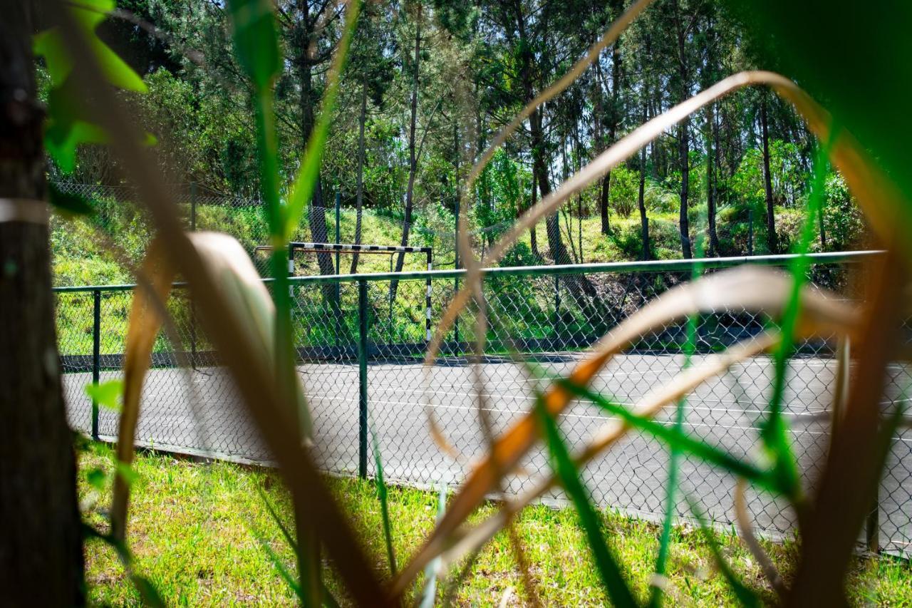 Hotel Rural Quinta Do Juncal Serra d'El-Rei Exteriér fotografie