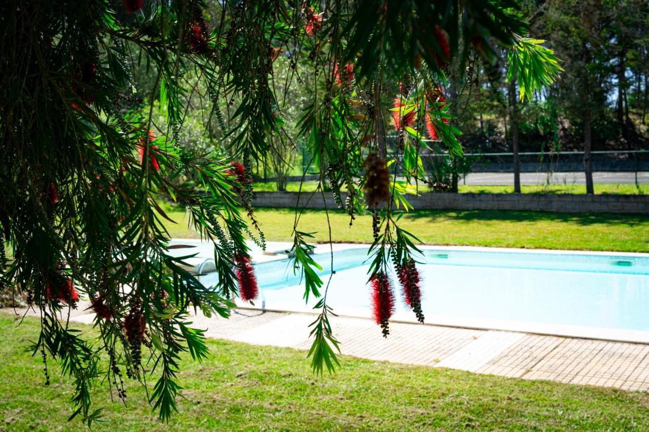 Hotel Rural Quinta Do Juncal Serra d'El-Rei Exteriér fotografie