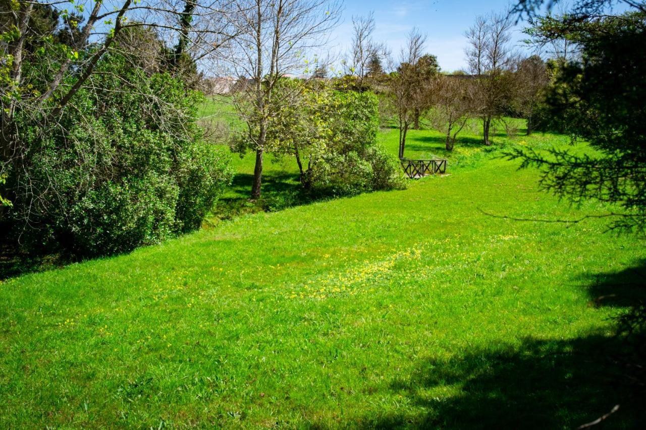 Hotel Rural Quinta Do Juncal Serra d'El-Rei Exteriér fotografie